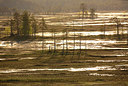 BUITEN BEELD Foto: 397722