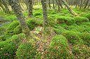 BUITEN BEELD Foto: 397747