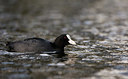 BUITEN BEELD Foto: 397785