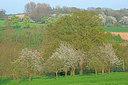 BUITEN BEELD Foto: 397813