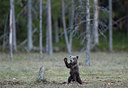 BUITEN BEELD Foto: 397855