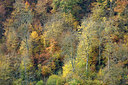 BUITEN BEELD Foto: 397884