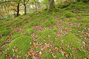 BUITEN BEELD Foto: 397888