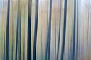 BUITEN BEELD Foto: 397904