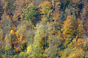 BUITEN BEELD Foto: 397909