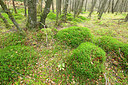 BUITEN BEELD Foto: 397913