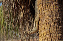 BUITEN BEELD Foto: 398437