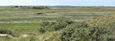 BUITEN BEELD Foto: 3525