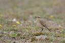BUITEN BEELD Foto: 39000