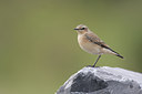 BUITEN BEELD Foto: 39004