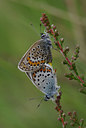 BUITEN BEELD Foto: 39031