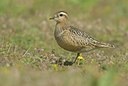 BUITEN BEELD Foto: 39044