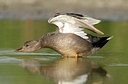 BUITEN BEELD Foto: 39051