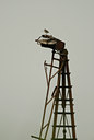 BUITEN BEELD Foto: 39112