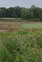 BUITEN BEELD Foto: 39128