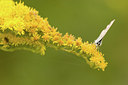 BUITEN BEELD Foto: 39194