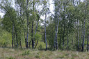 BUITEN BEELD Foto: 39212