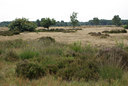 BUITEN BEELD Foto: 39235