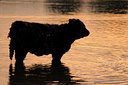 BUITEN BEELD Foto: 39294