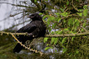 BUITEN BEELD Foto: 39332