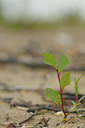 BUITEN BEELD Foto: 39404
