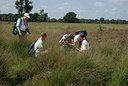 BUITEN BEELD Foto: 39408