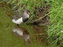 BUITEN BEELD Foto: 39567