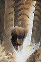 BUITEN BEELD Foto: 39597