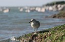 BUITEN BEELD Foto: 39609
