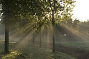 BUITEN BEELD Foto: 39647