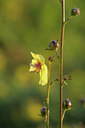 BUITEN BEELD Foto: 39683