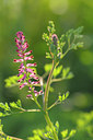 BUITEN BEELD Foto: 39686