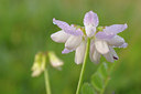 BUITEN BEELD Foto: 39707