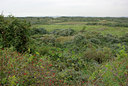 BUITEN BEELD Foto: 39830