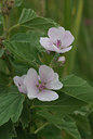 BUITEN BEELD Foto: 39835