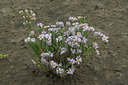 BUITEN BEELD Foto: 39840