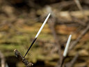 BUITEN BEELD Foto: 39860