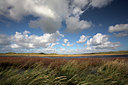 BUITEN BEELD Foto: 39910