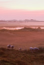 BUITEN BEELD Foto: 39918