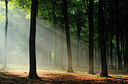 BUITEN BEELD Foto: 39982