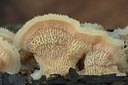 BUITEN BEELD Foto: 399416