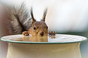 BUITEN BEELD Foto: 400099
