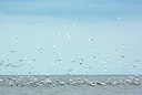 BUITEN BEELD Foto: 400621