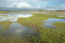 BUITEN BEELD Foto: 400684