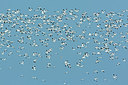 BUITEN BEELD Foto: 400853
