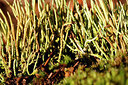 BUITEN BEELD Foto: 400882