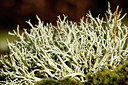 BUITEN BEELD Foto: 400885