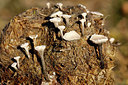BUITEN BEELD Foto: 400964