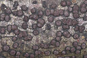 BUITEN BEELD Foto: 401002