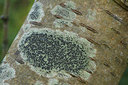 BUITEN BEELD Foto: 401034